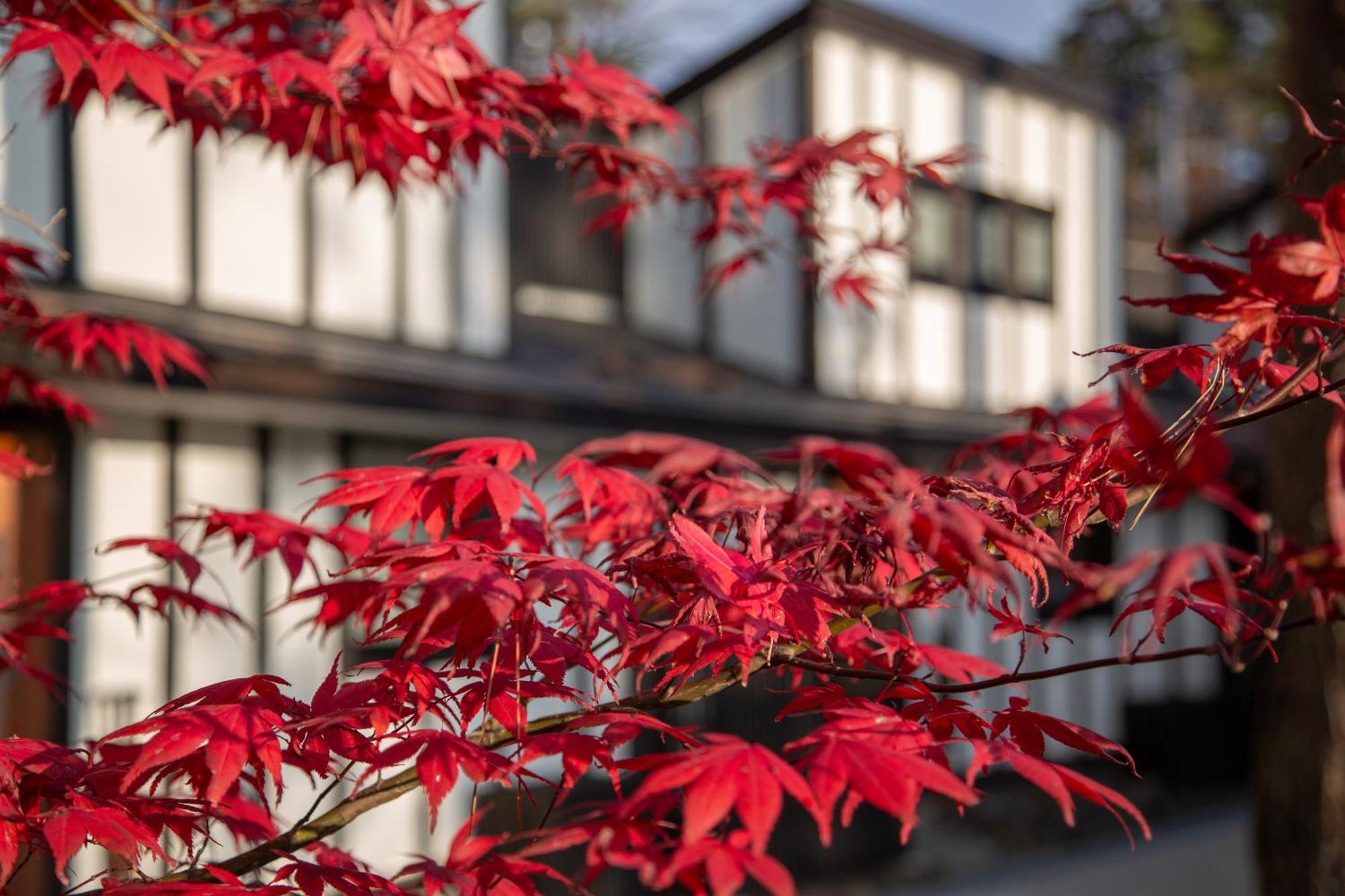 Glamping Villa Hanz Kawaguchiko Fujikawaguchiko Pokój zdjęcie