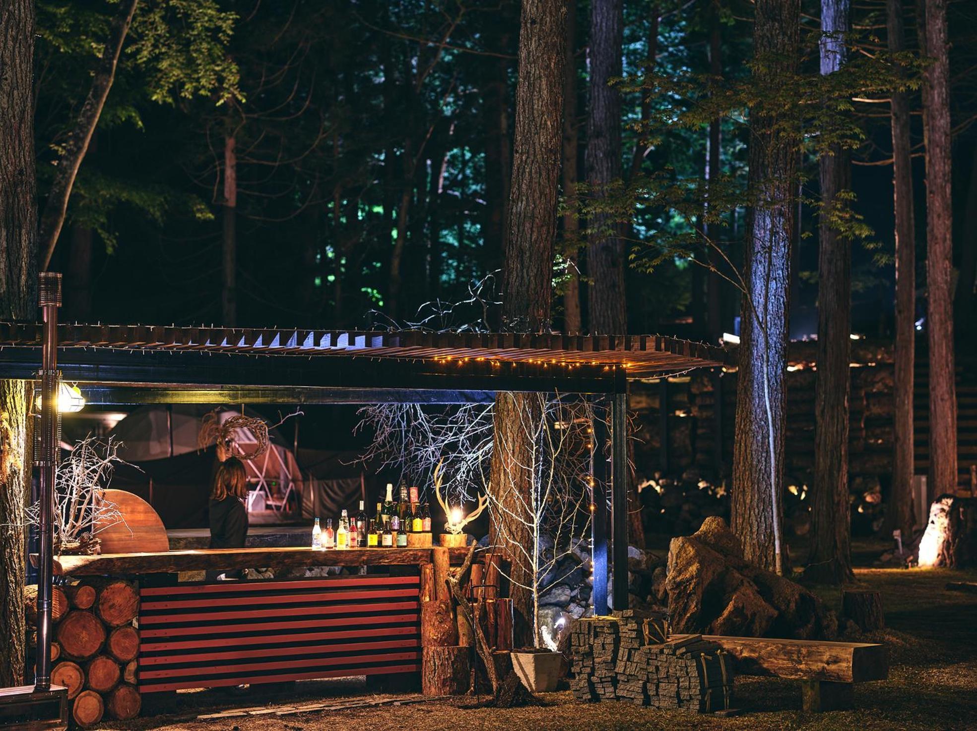 Glamping Villa Hanz Kawaguchiko Fujikawaguchiko Pokój zdjęcie
